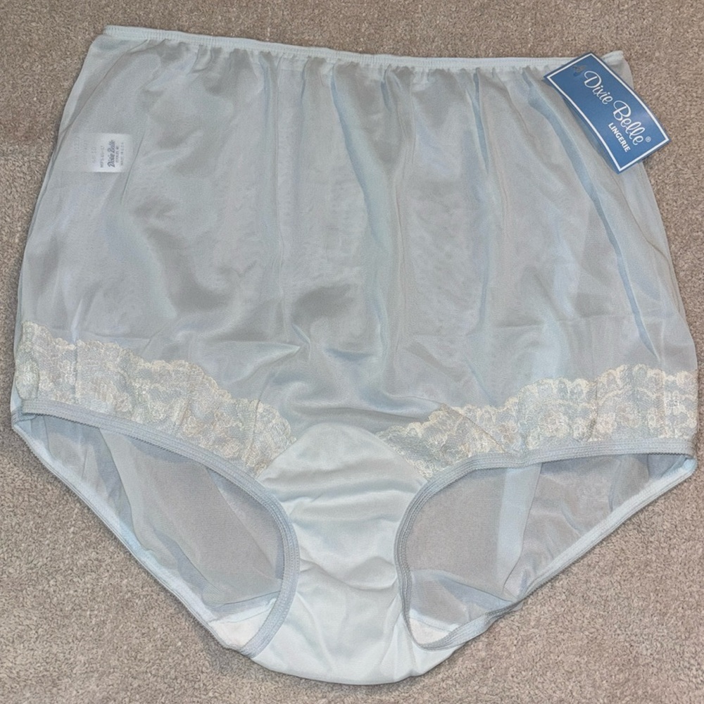 Dixie Belle Women’s Nylon Briefs Panties Powder Light Blue Size 10 VINTAGE